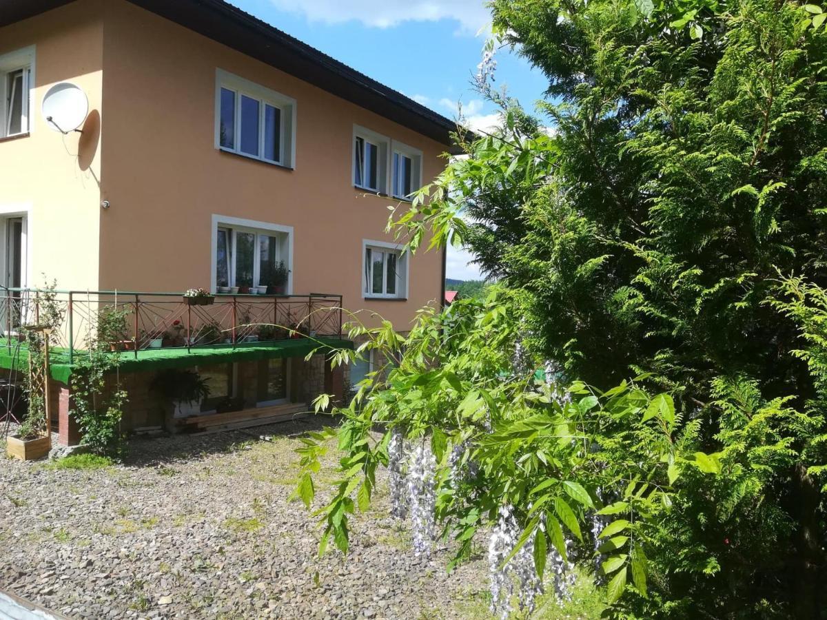 Noclegi Pod Lasem Solina 20 Exterior photo