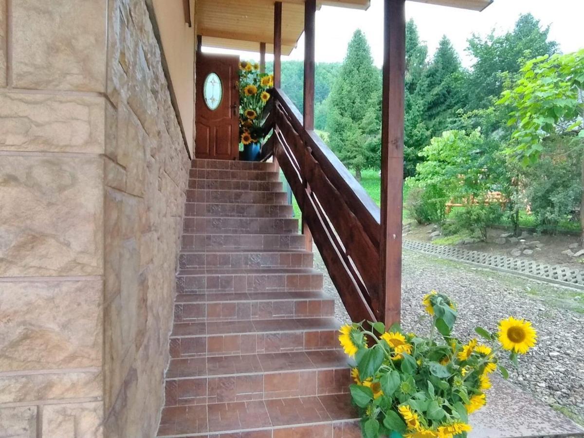Noclegi Pod Lasem Solina 20 Exterior photo